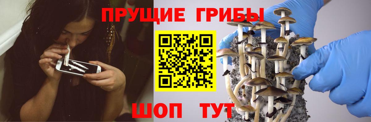 Псилоцибиновые грибы ЛСД  Псилоцибиновые грибы Psilocybine cubensis  как найти закладки  Вход с VPN  Темрюк 